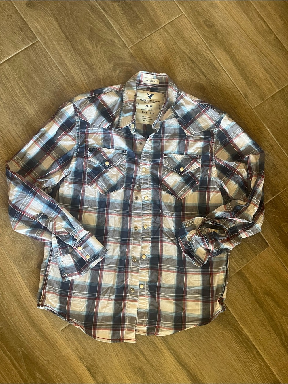 American Eagle Outfitters Plaid Button-Down Shirt in Blue, Red & White